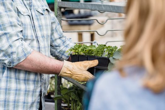 De opkomst van de weekmarkt groei: wat betekent het voor bedrijven en consumenten?